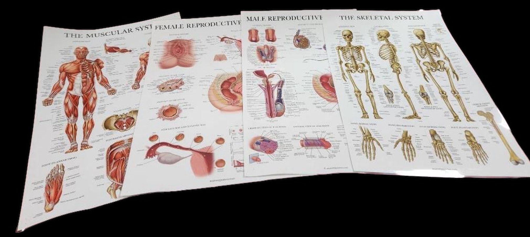 Image for Nurse & Medical Training Equipment - Omaha, NE