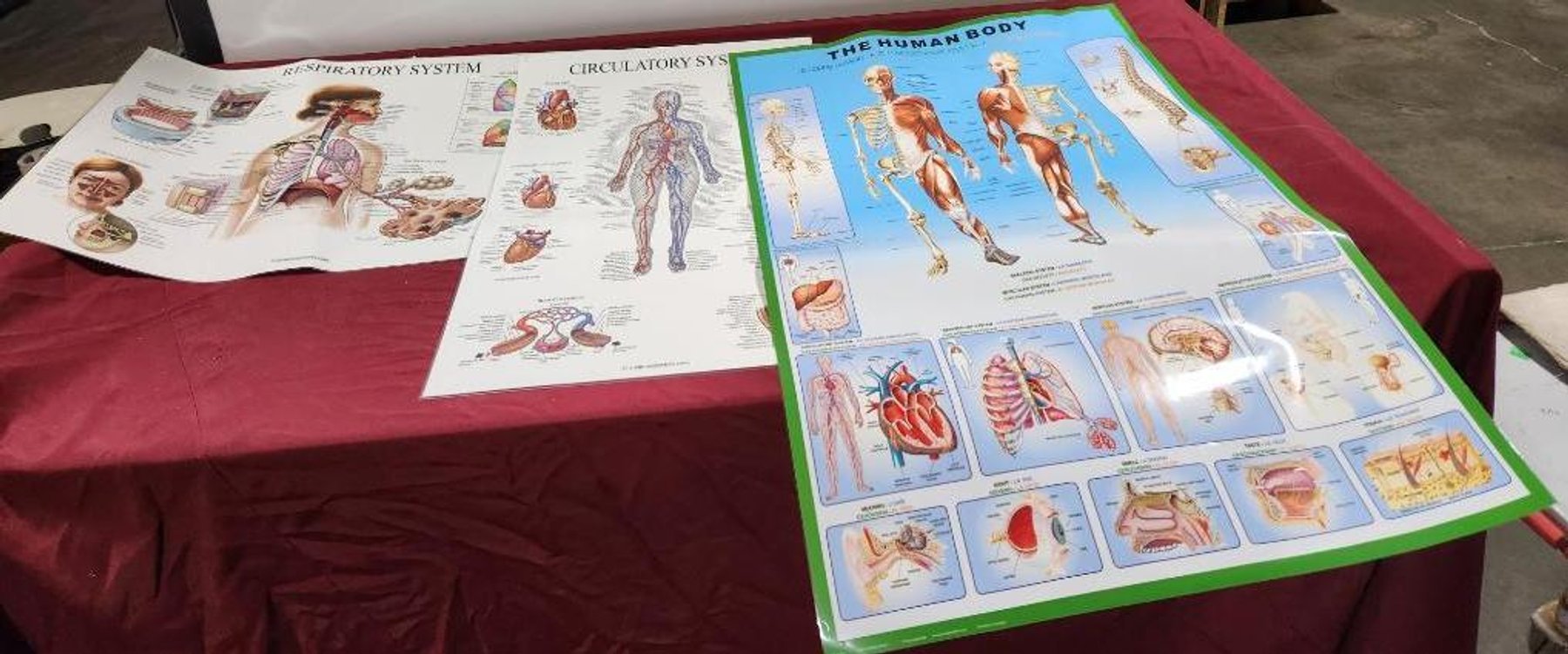 Image for Nurse & Medical Training Equipment - Omaha, NE