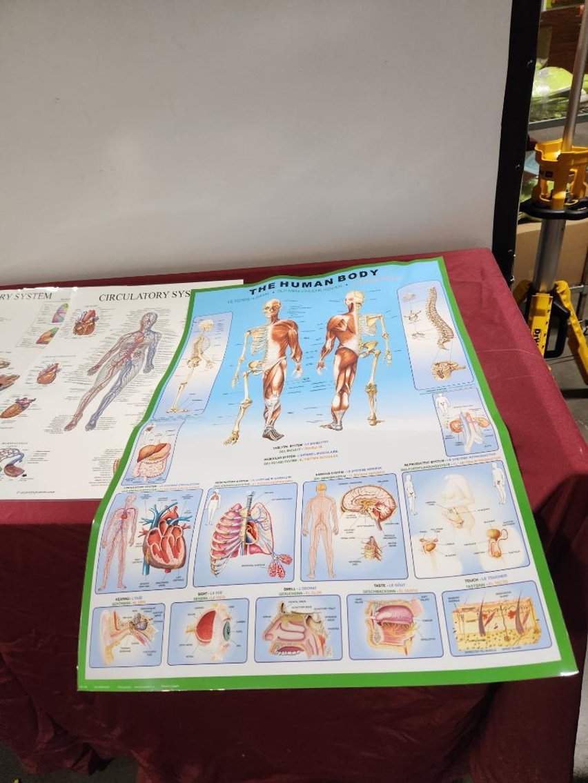 Image for Nurse & Medical Training Equipment - Omaha, NE