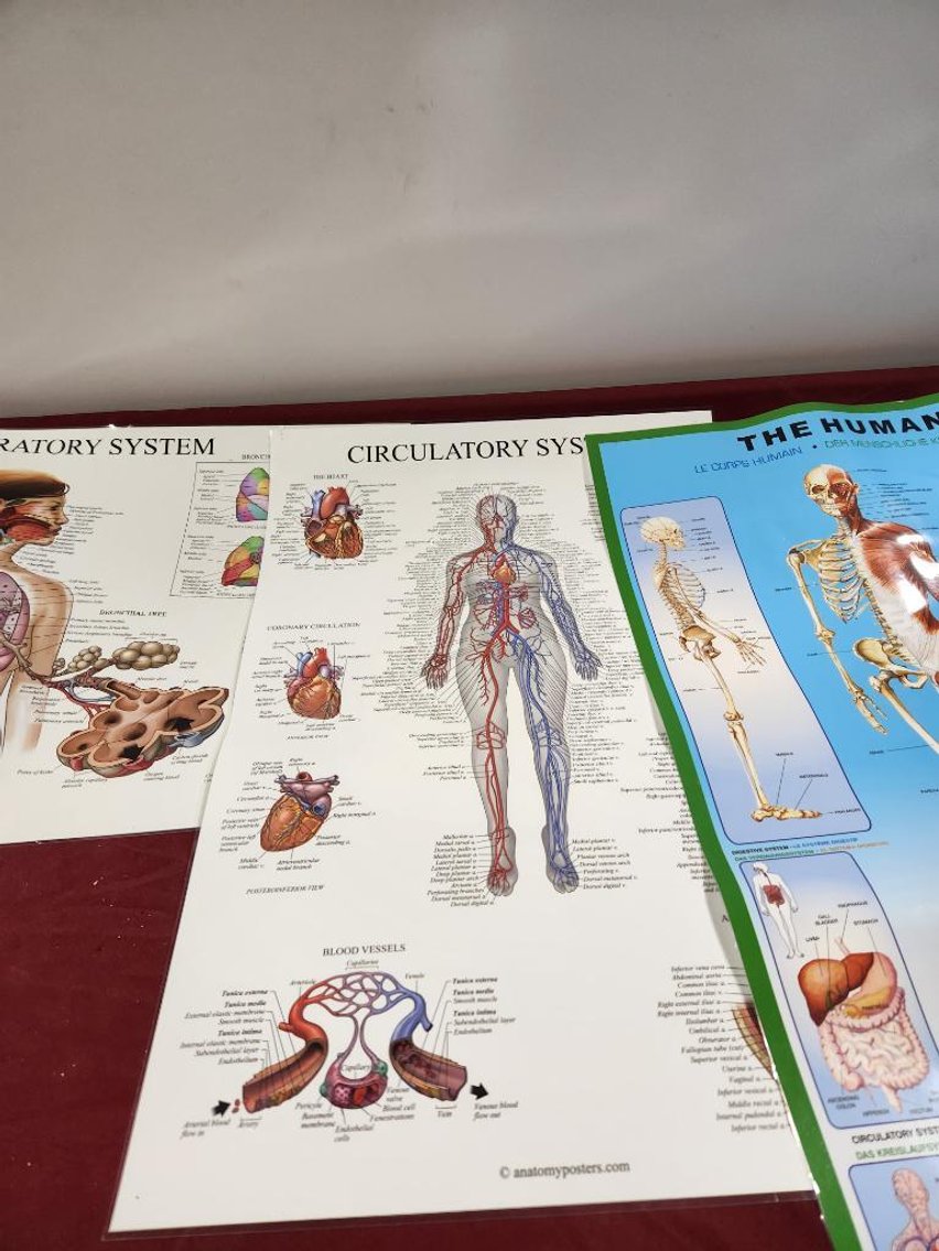 Image for Nurse & Medical Training Equipment - Omaha, NE