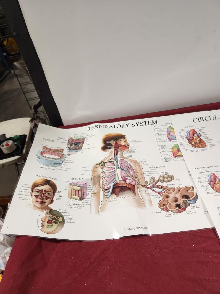 Image for Nurse & Medical Training Equipment - Omaha, NE