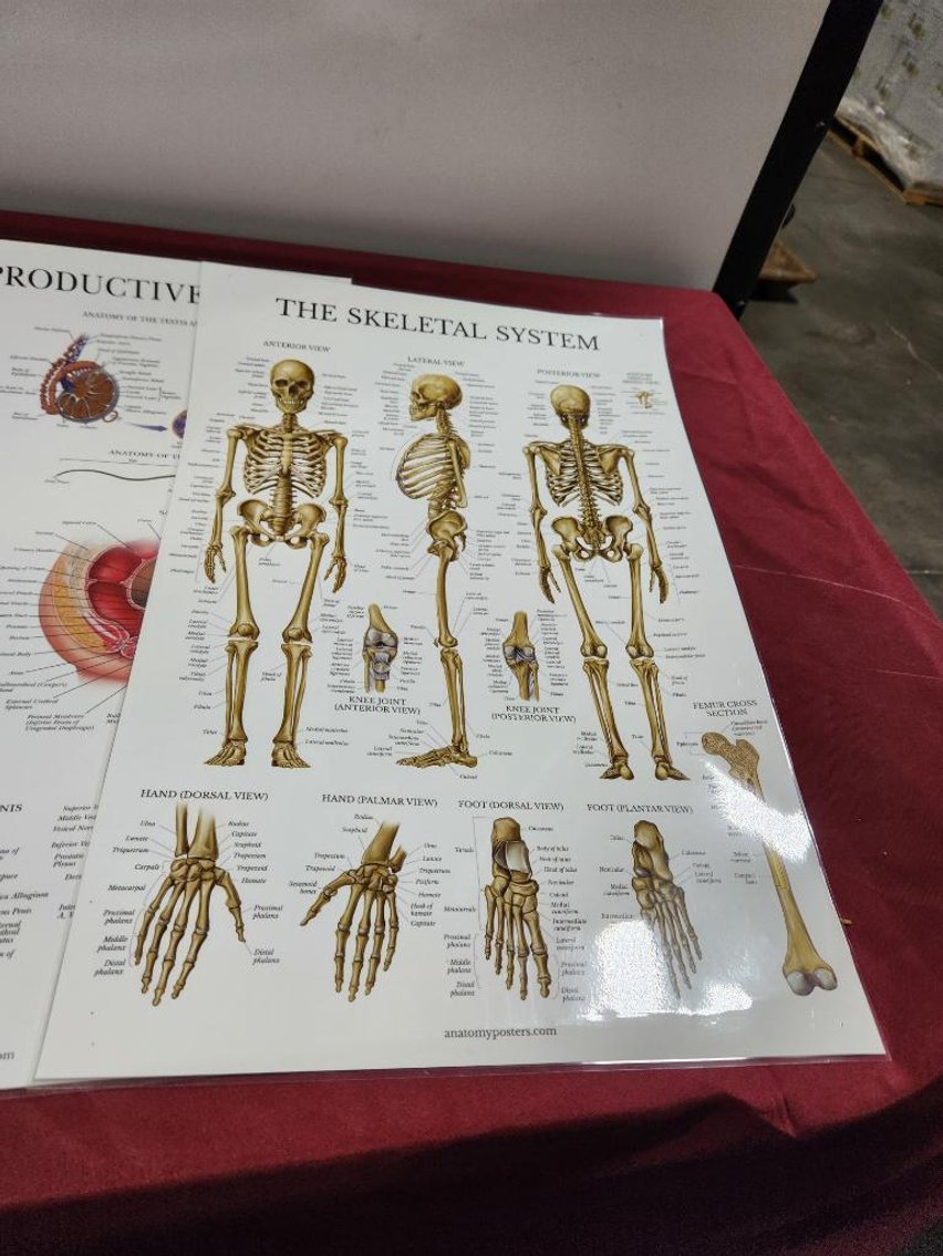 Image for Nurse & Medical Training Equipment - Omaha, NE