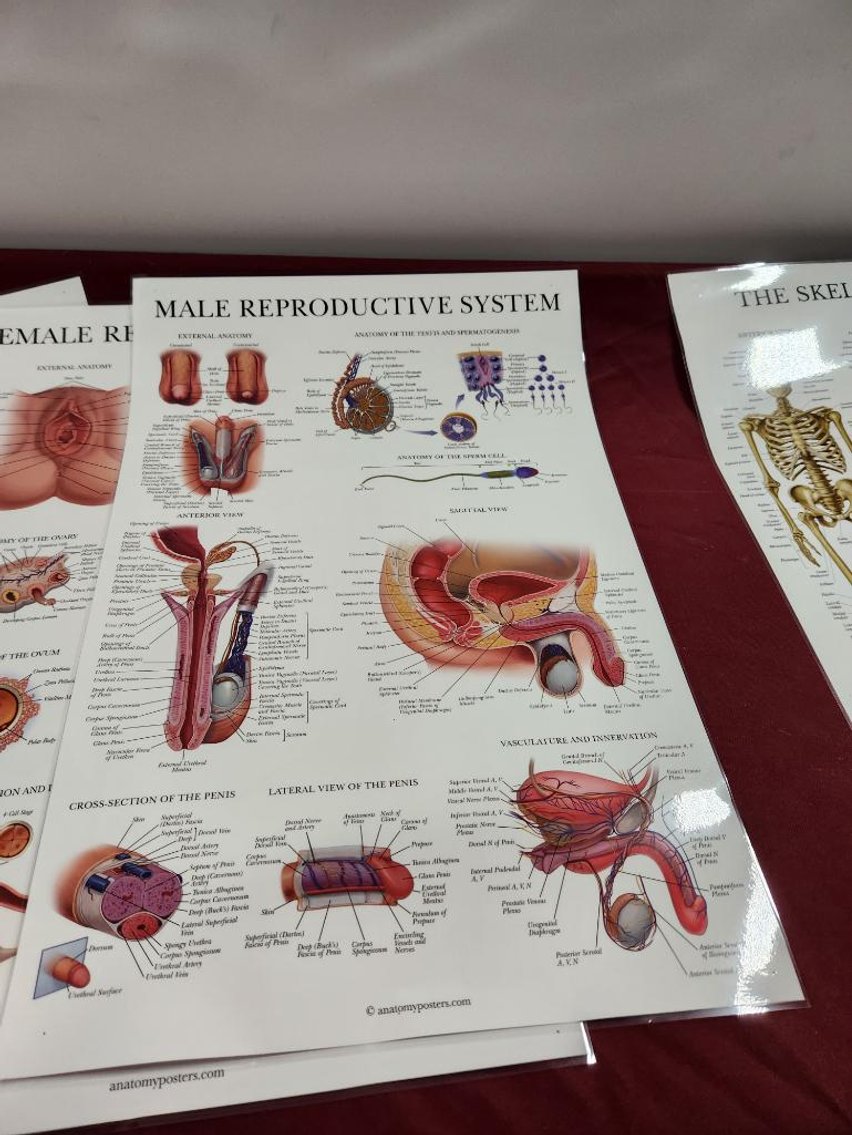 Image for Nurse & Medical Training Equipment - Omaha, NE