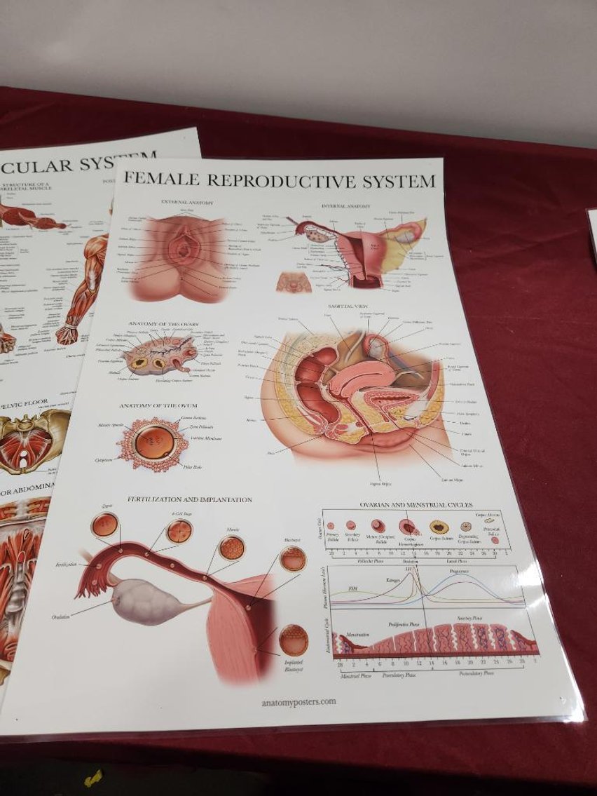 Image for Nurse & Medical Training Equipment - Omaha, NE