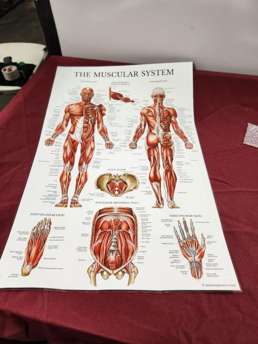 Image for Nurse & Medical Training Equipment - Omaha, NE