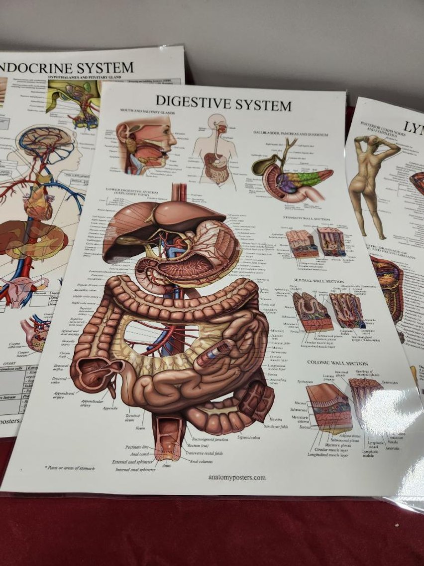 Image for Nurse & Medical Training Equipment - Omaha, NE