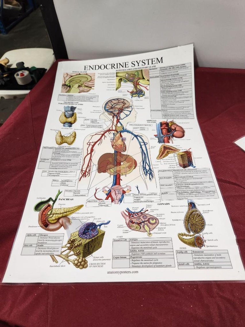 Image for Nurse & Medical Training Equipment - Omaha, NE