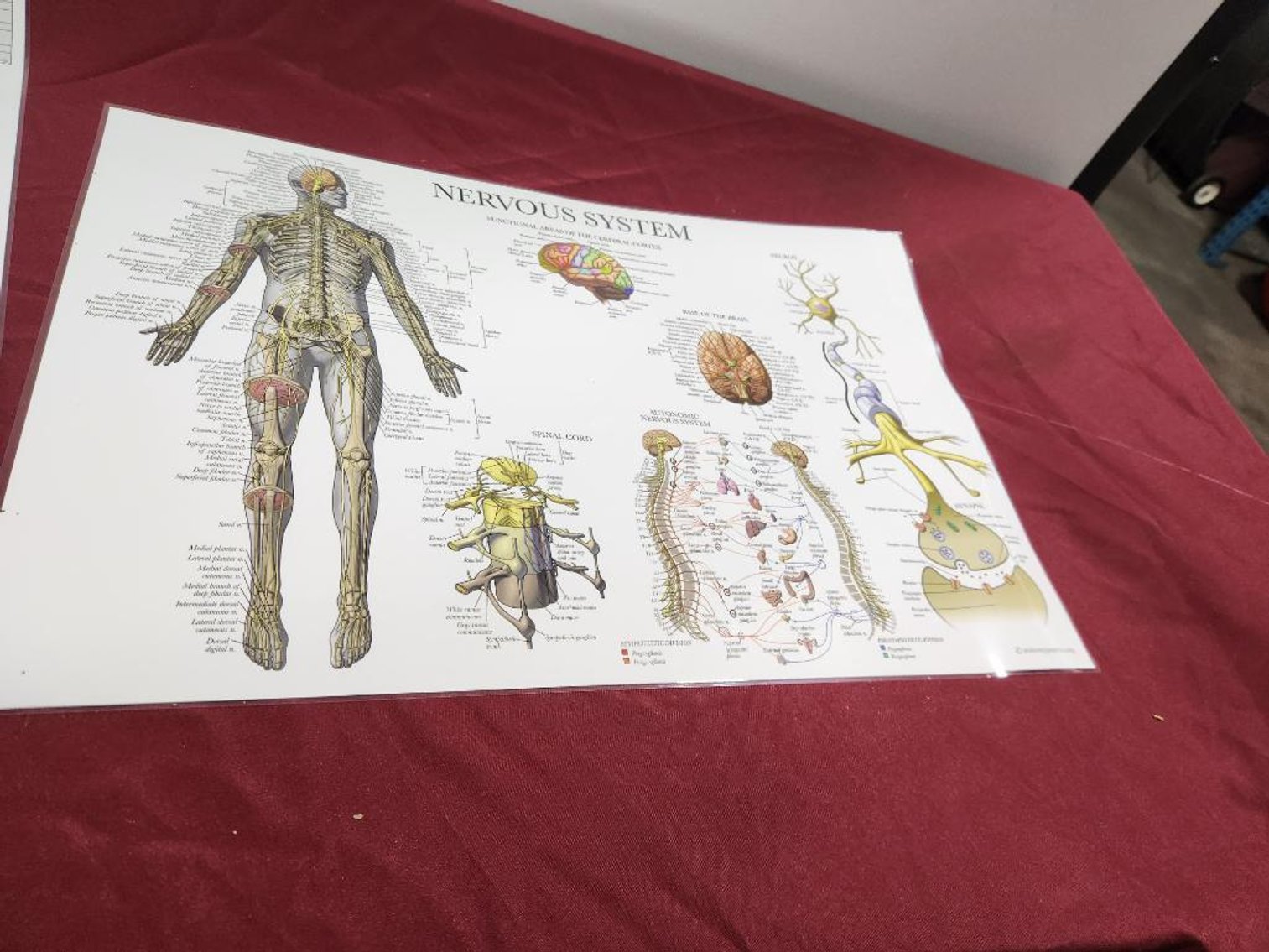 Image for Nurse & Medical Training Equipment - Omaha, NE