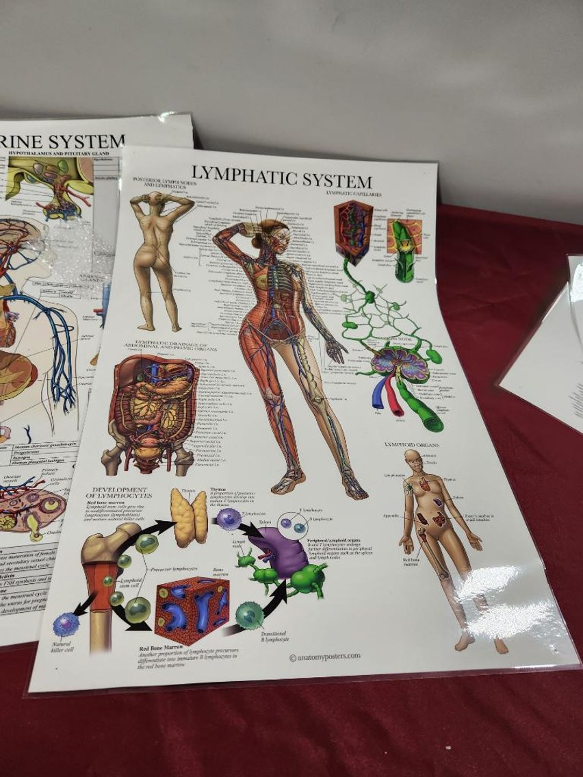 Image for Nurse & Medical Training Equipment - Omaha, NE