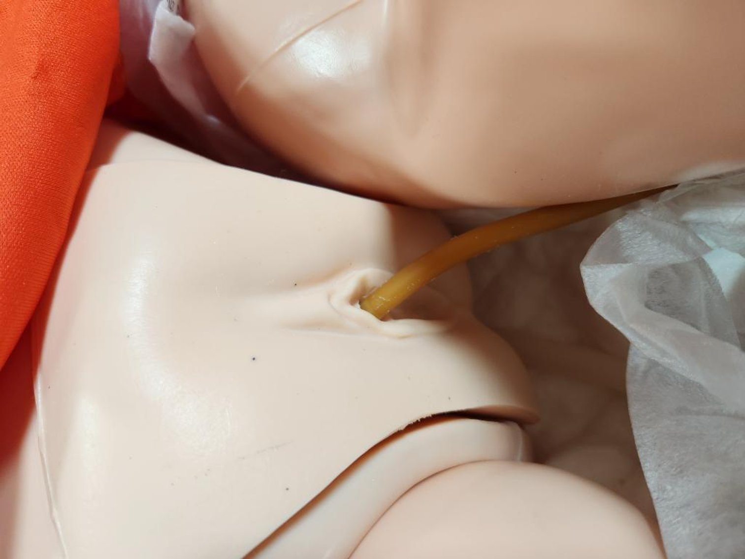 Image for Nurse & Medical Training Equipment - Omaha, NE