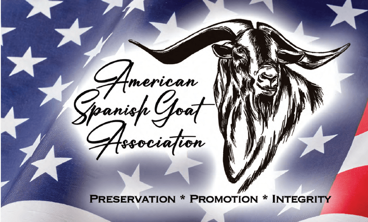 Image for 2024 | ASGA- Premiere Sale