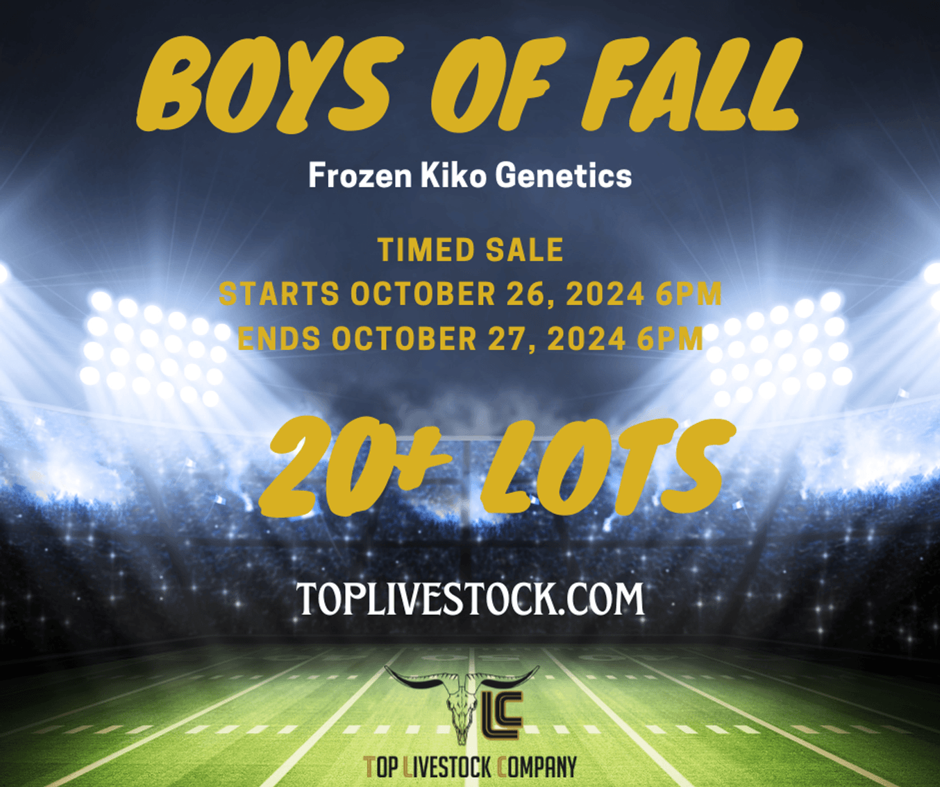 Image for 2024 | BOYS OF FALL
