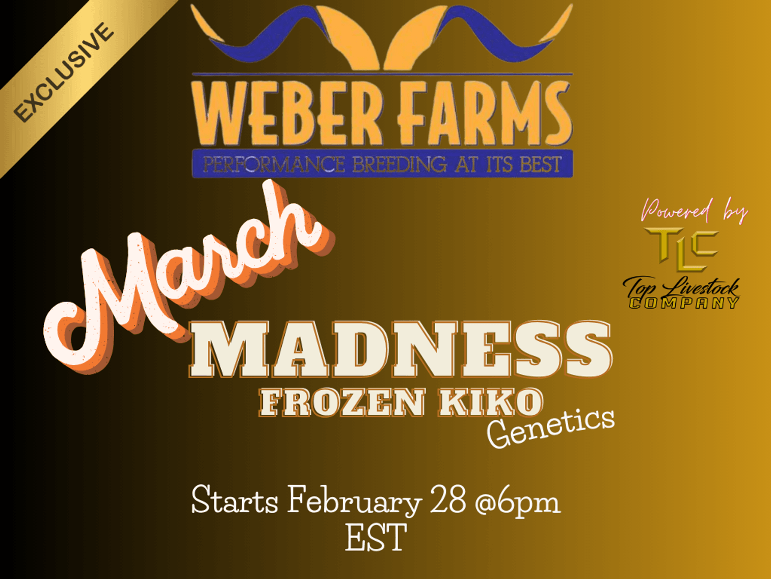 Image for 2025 | Weber Farms- March Madness