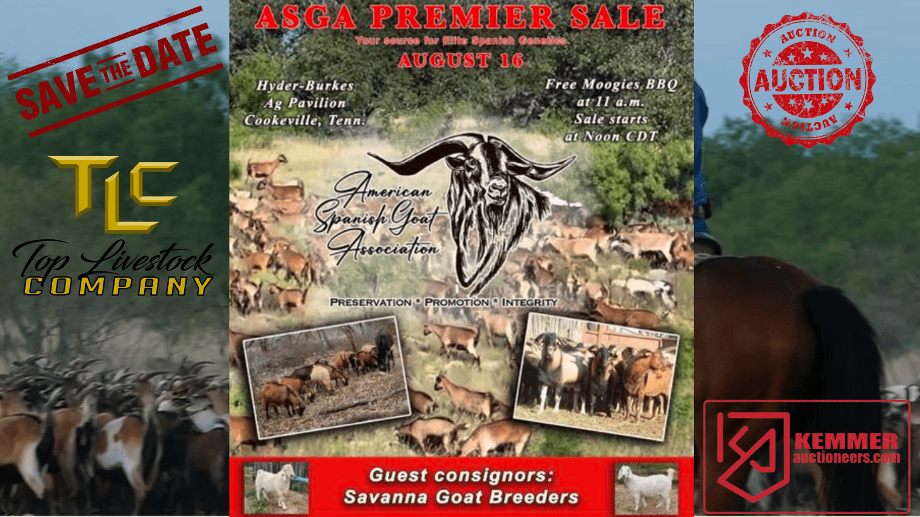 Image for 2025 | ASGA Premier Sale
