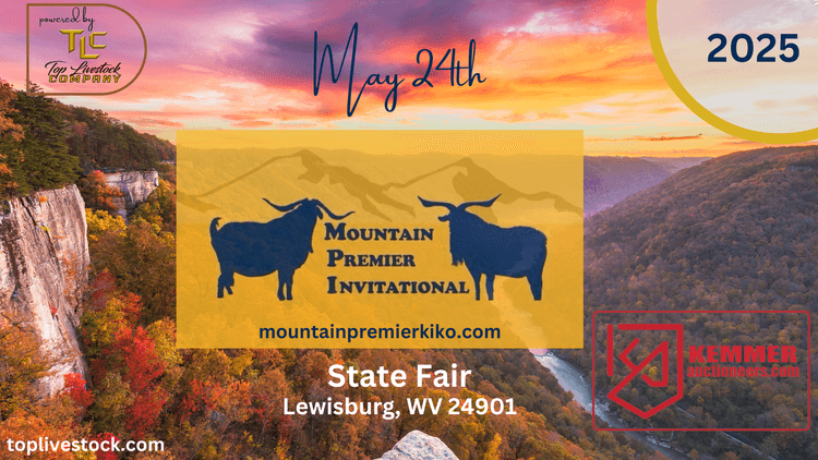 Image for 2025 | Mountain Premier Invitational