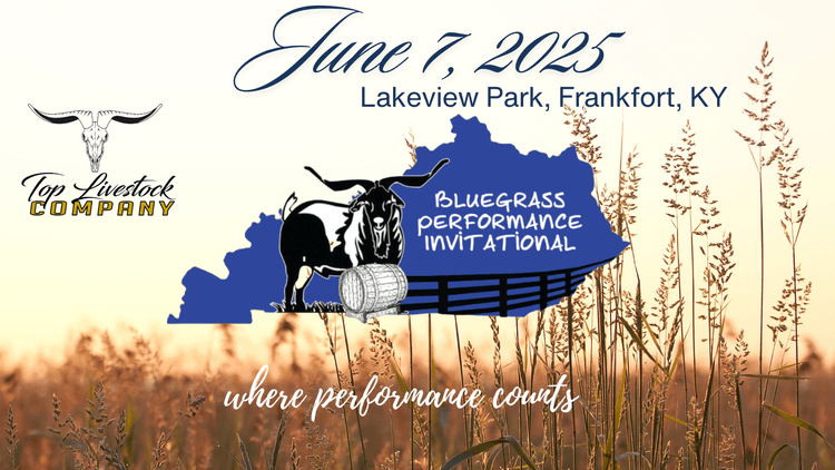 Image for 2025 | Bluegrass Performance Invitational