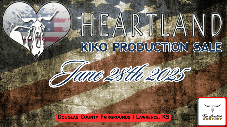 Image for 2025 | Heartland Kiko Production Sale