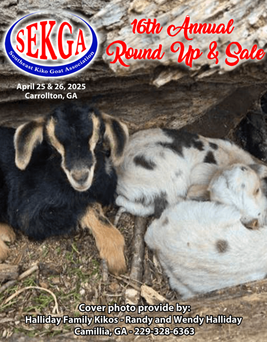 Image for 2025 | SEKGA- Spring Sale