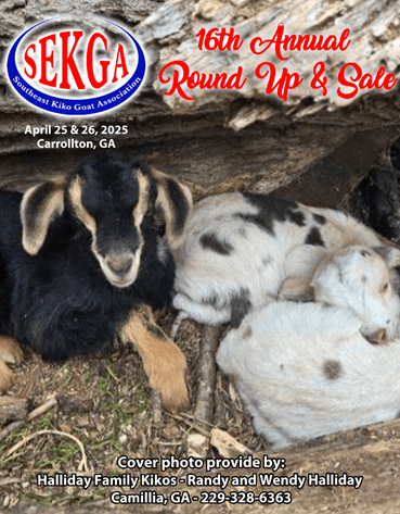 Image for 2025 | SEKGA- Spring Sale