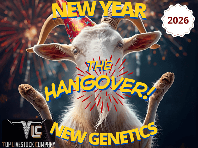 Image for 2026 | The Hangover Frozen Sale