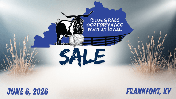 Image for 2026 | Bluegrass Performance Invitational