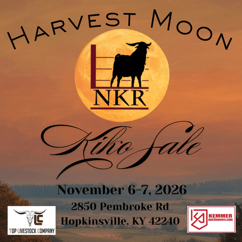 Image for 2026 | NKR Harvest Moon Sale