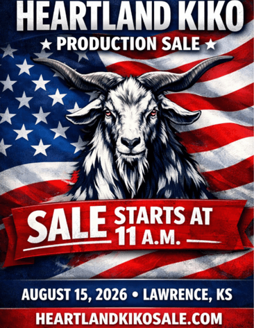 Image for 2026 | Heartland KIKO Production Sale