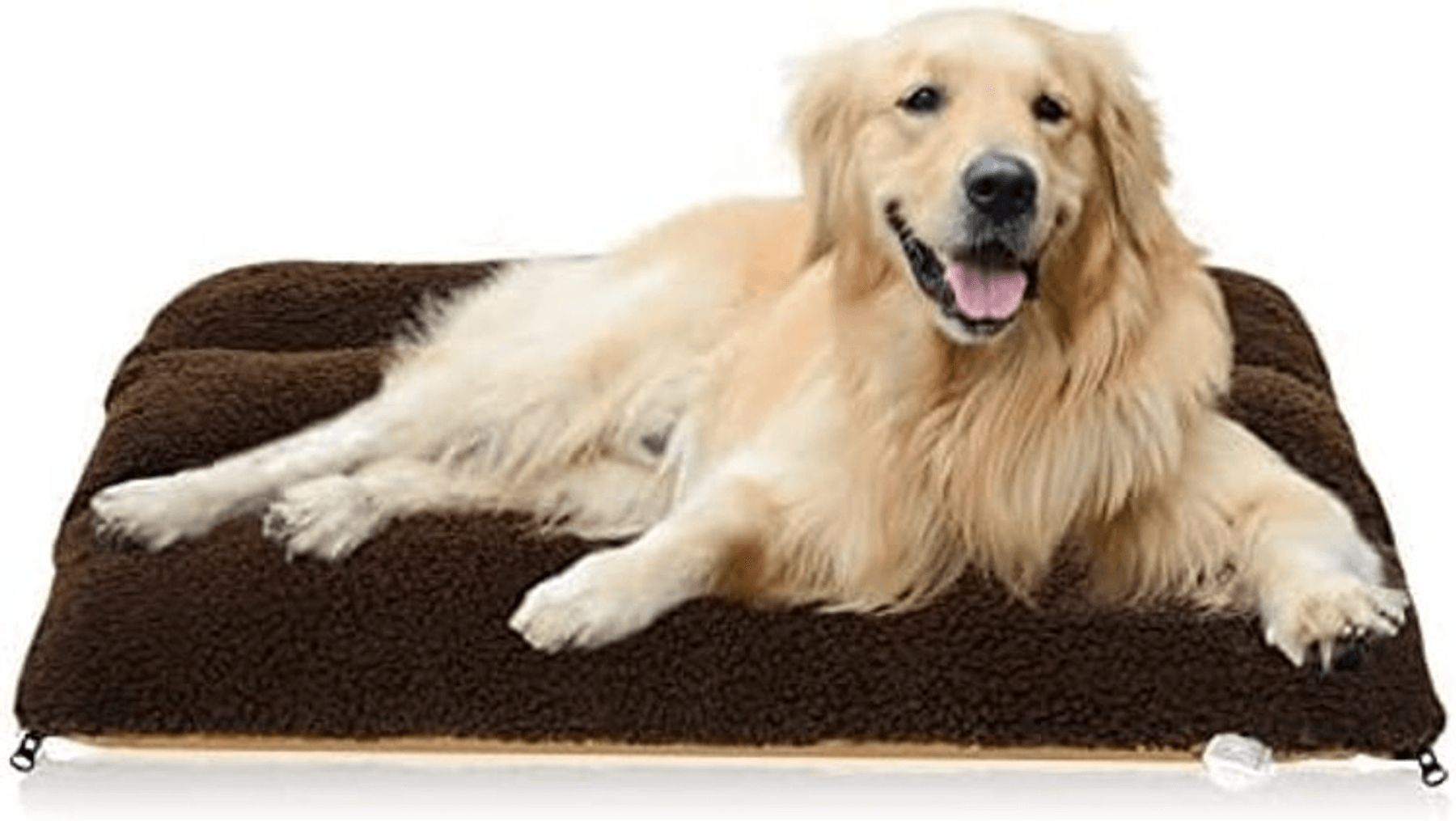 Image for Auction #160