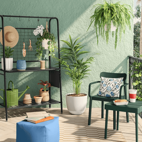 Image for Auction #186