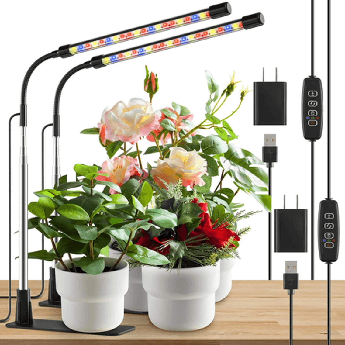 Image for Auction #238