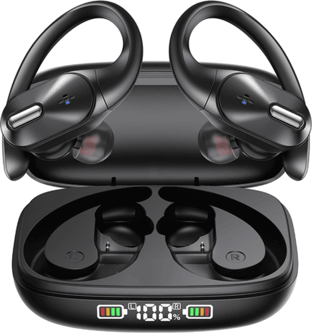 Image for Auction #244