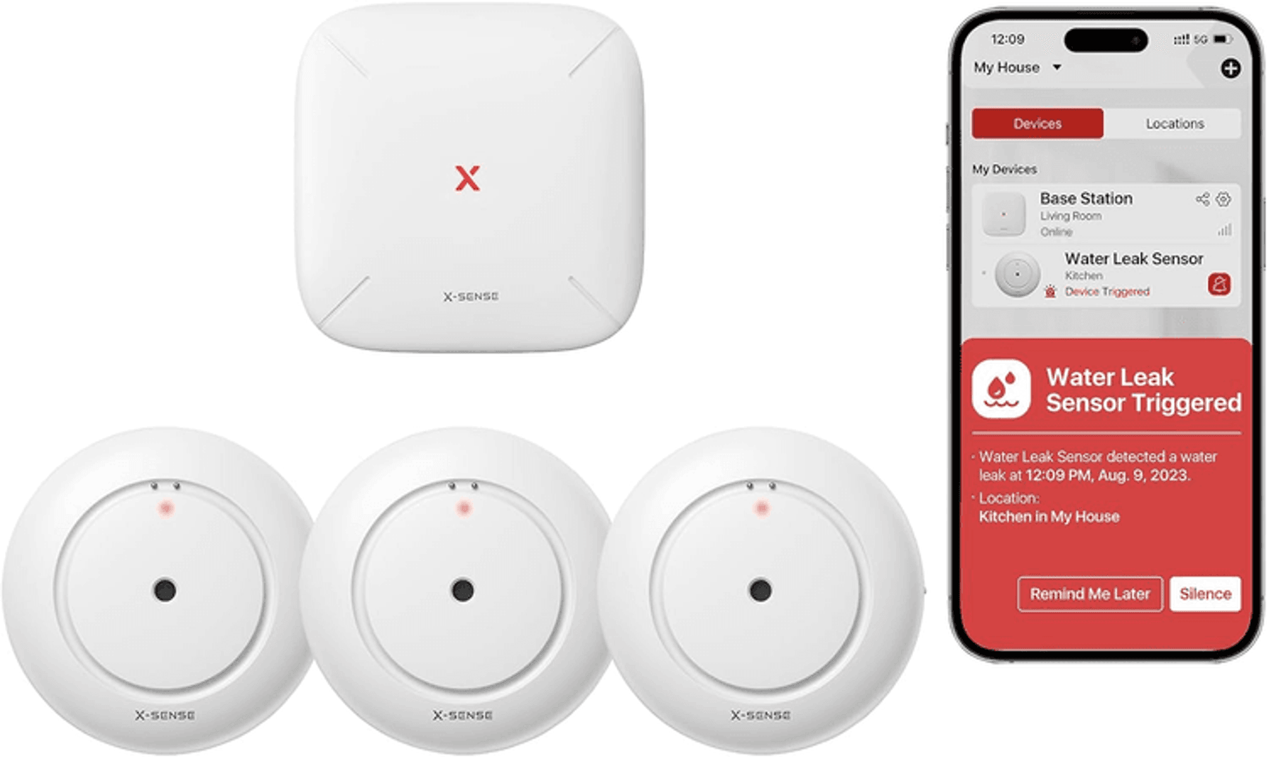 Image for Auction #253