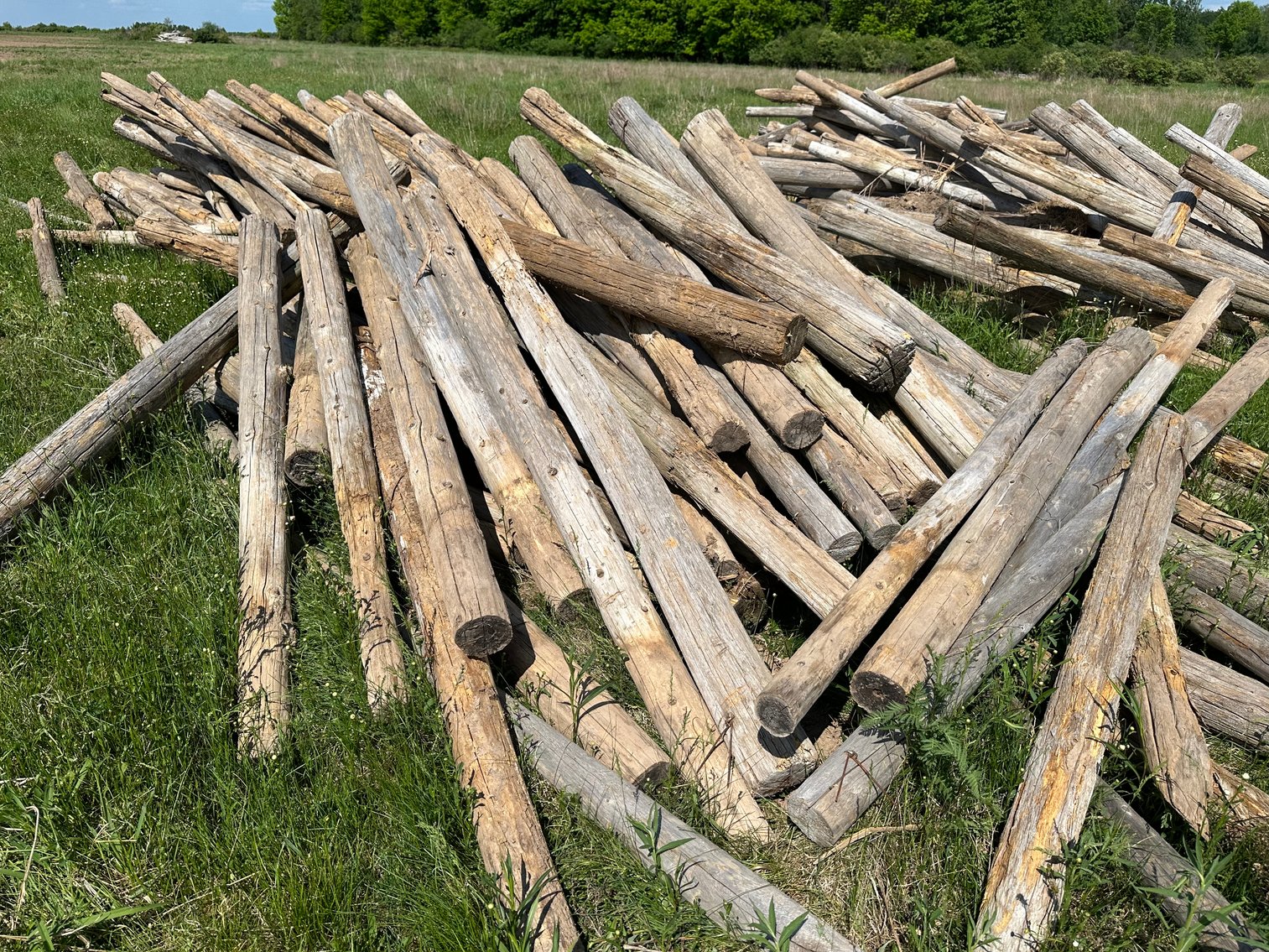 Image for Ginseng Equipment Auction