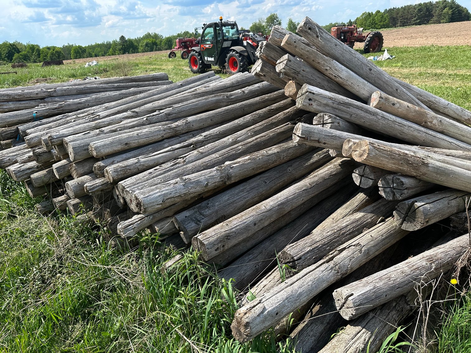 Image for Ginseng Equipment Auction