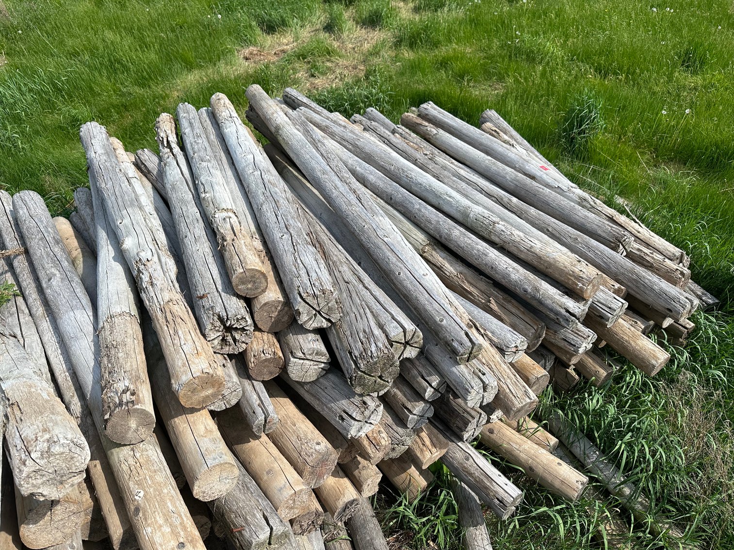 Image for Ginseng Equipment Auction