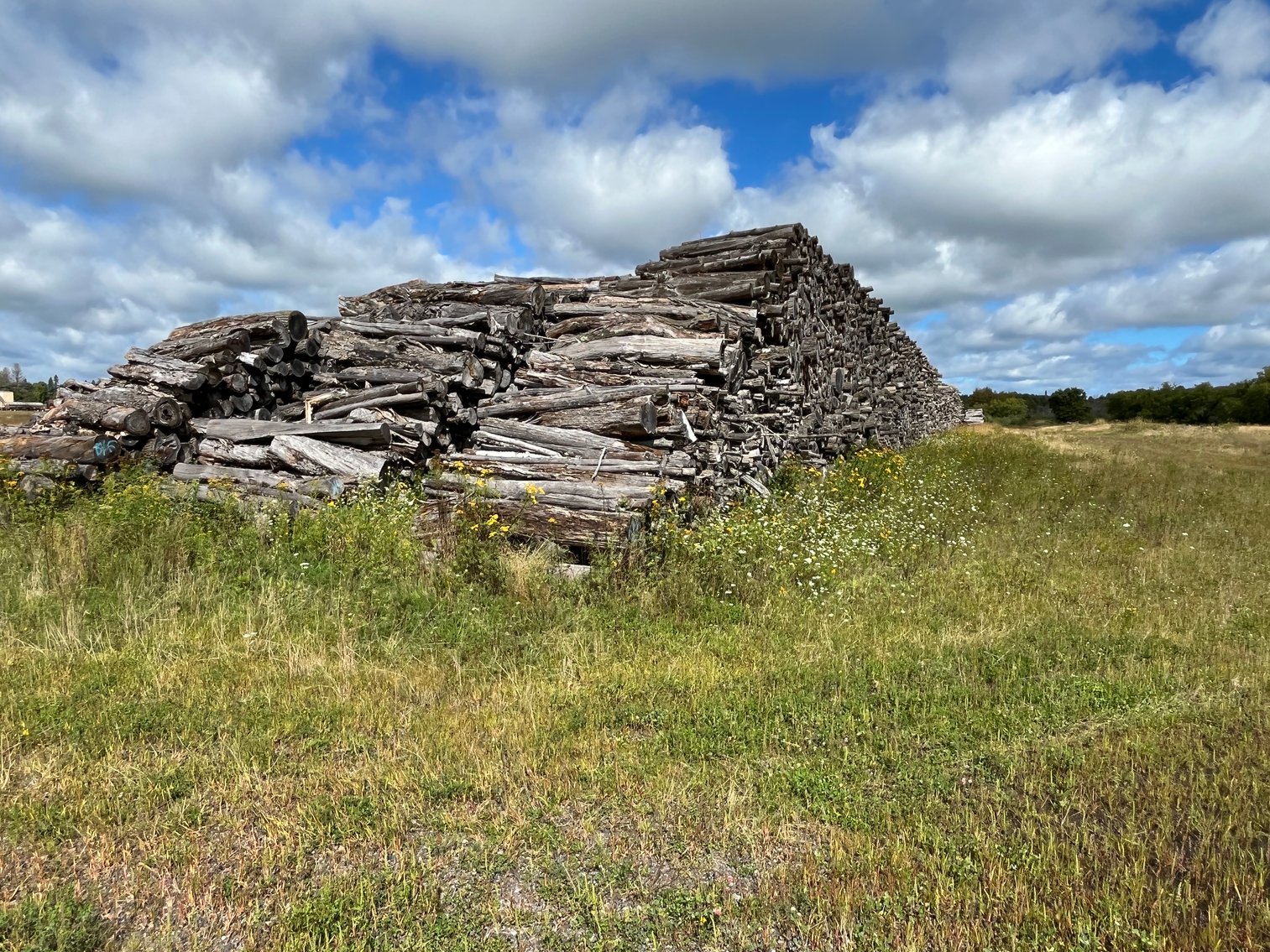 Image for JOHNSON TIMBER CORPORATION