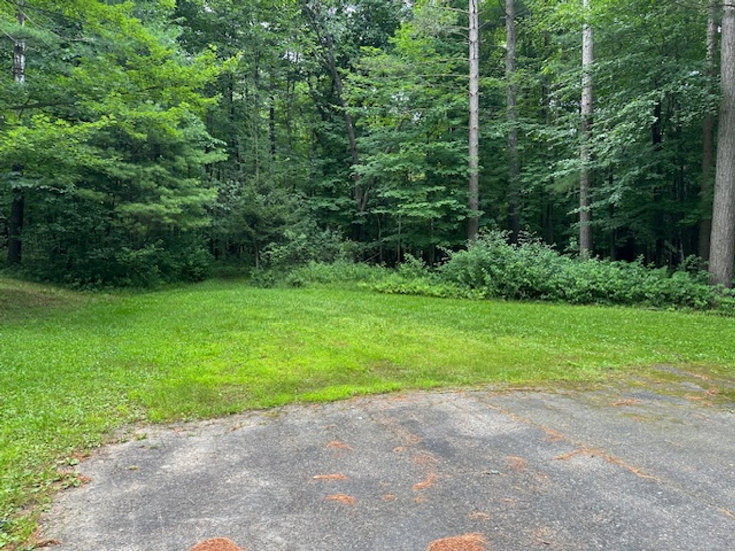 Image for St. John Evangelical Lutheran Church Land Auction