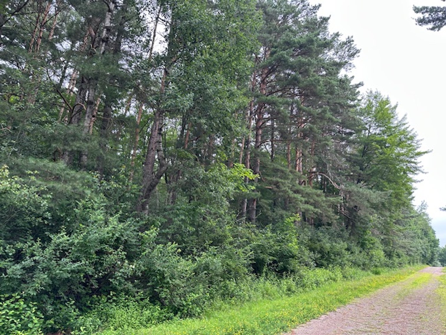 Image for St. John Evangelical Lutheran Church Land Auction