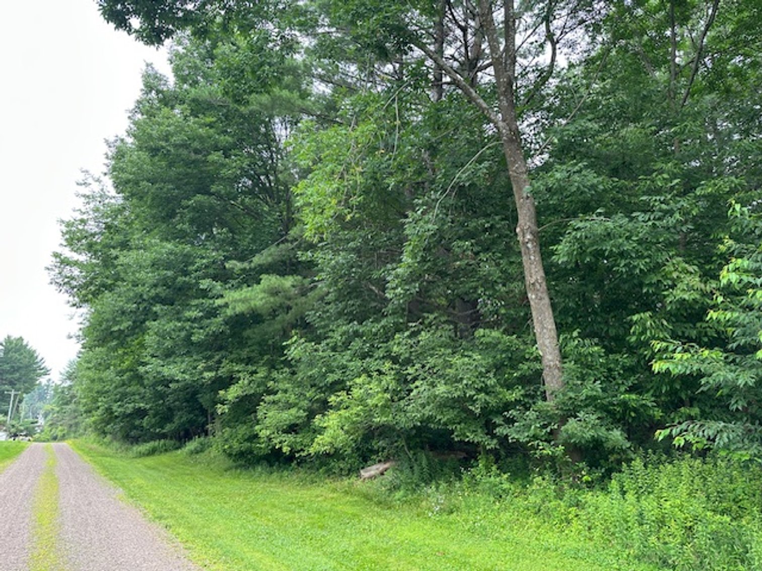 Image for St. John Evangelical Lutheran Church Land Auction