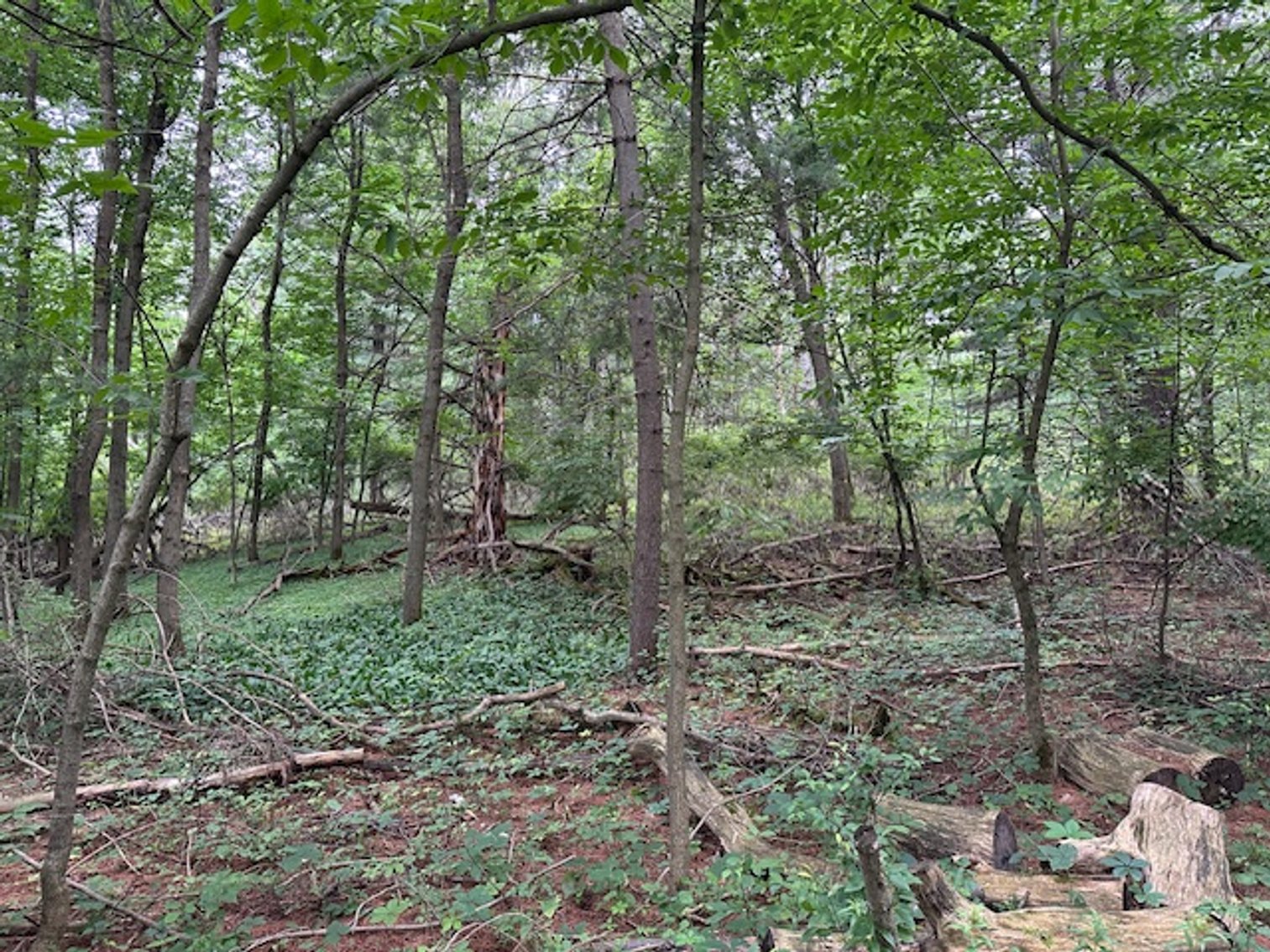 Image for St. John Evangelical Lutheran Church Land Auction