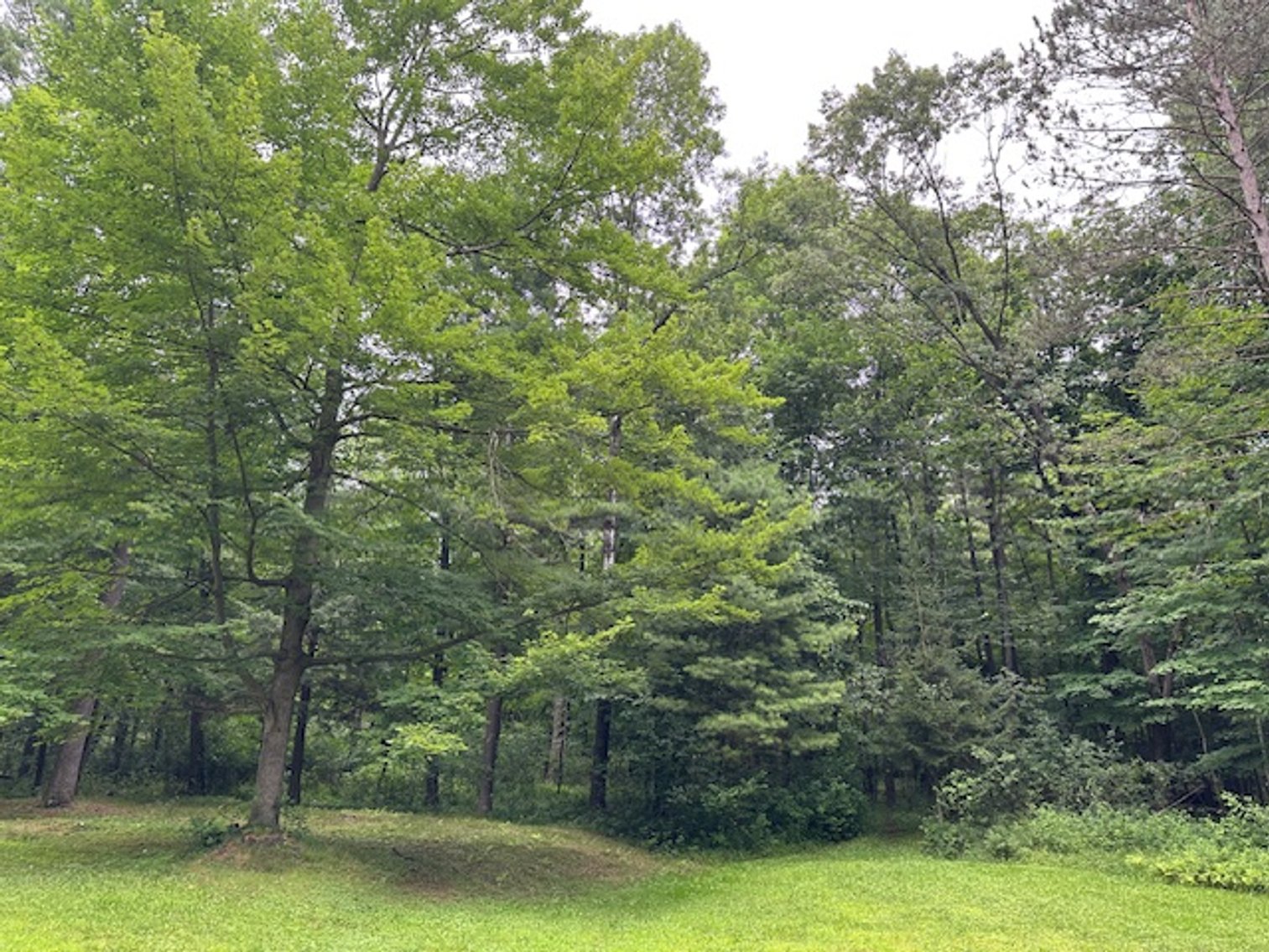 Image for St. John Evangelical Lutheran Church Land Auction