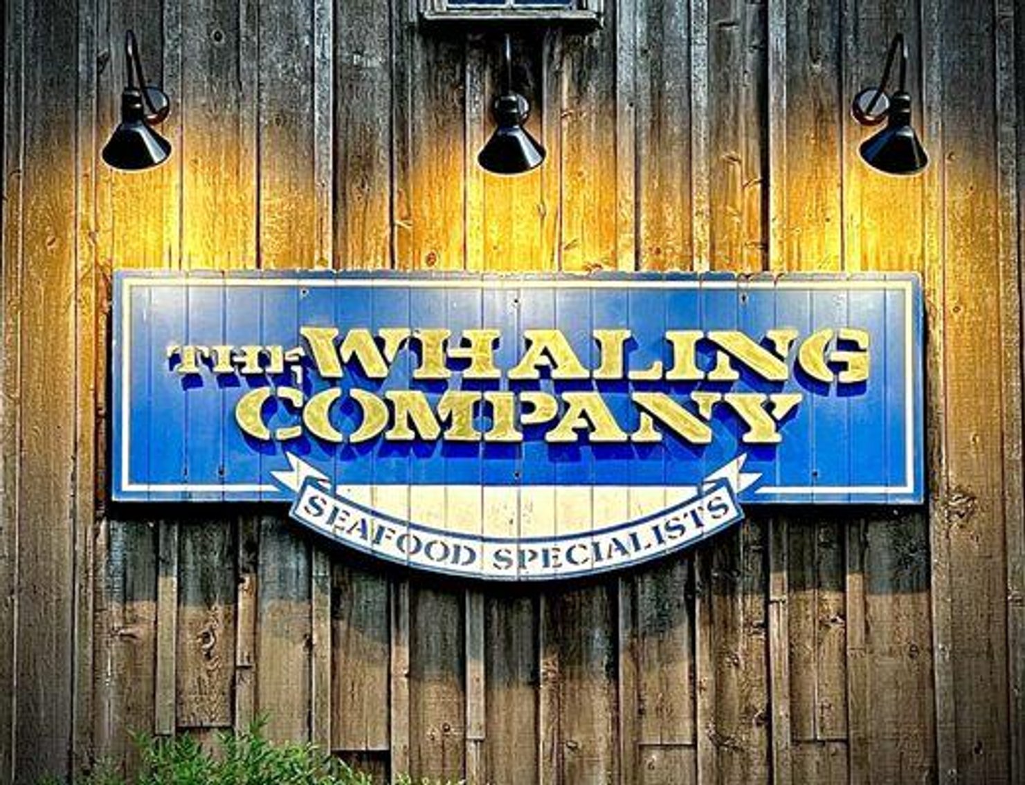 Image for The Whaling Company