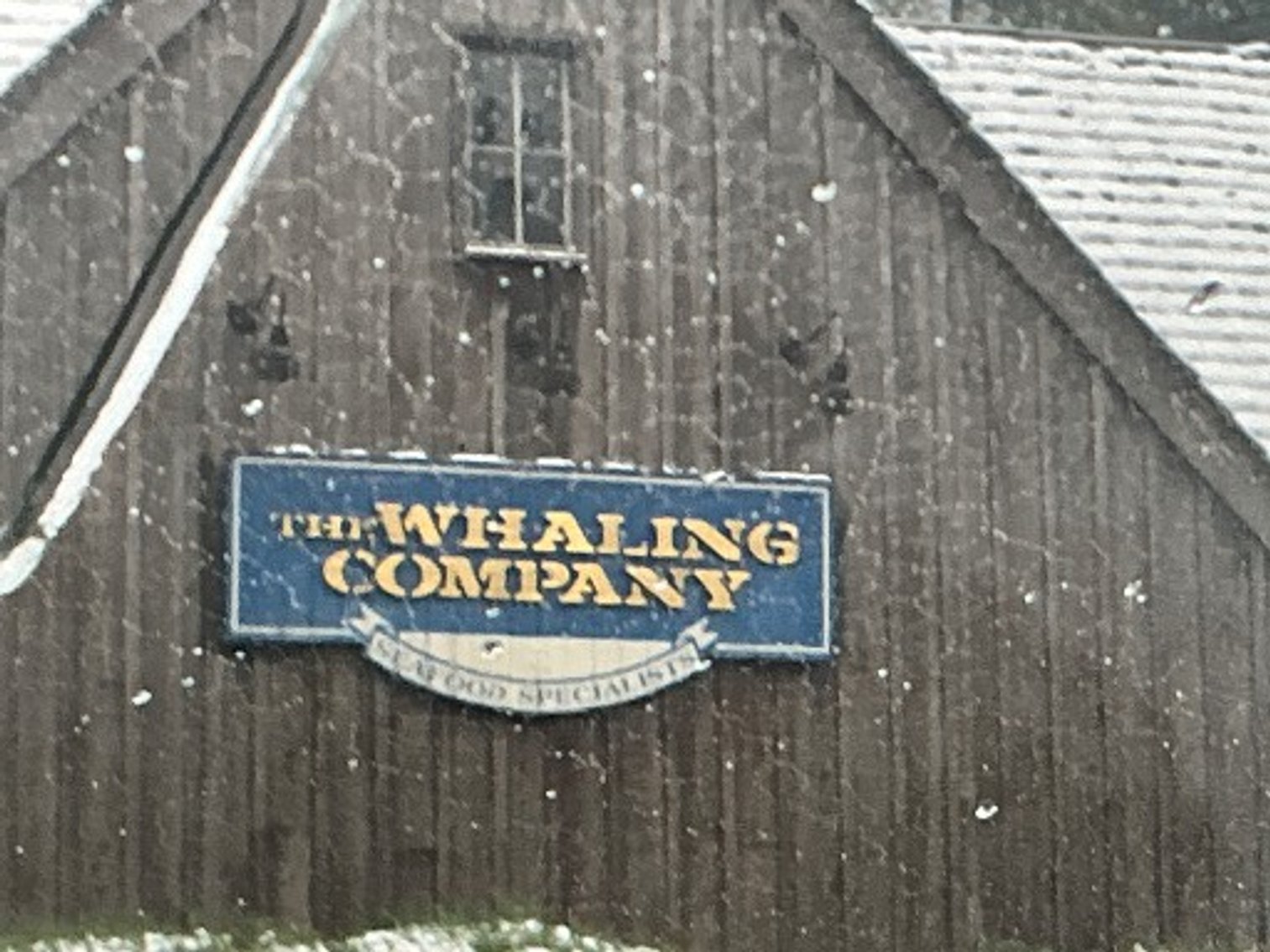 Image for The Whaling Company
