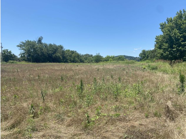 Image for 2600 W Andrew Johnson Hwy  Morristown,  TN - Commercial Lot