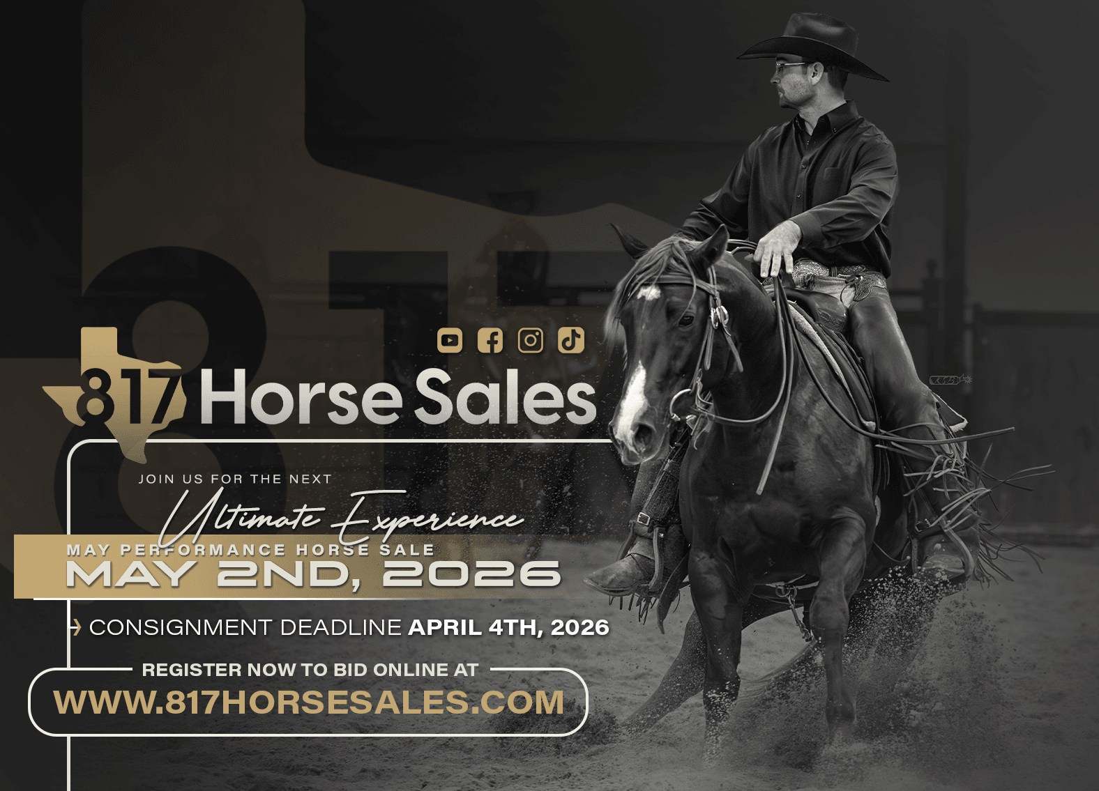 Image for 2026 May Performance Horse Sale