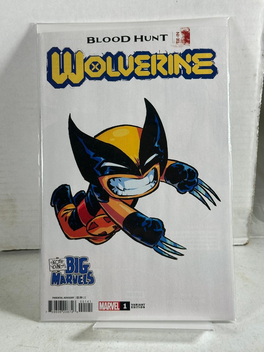 Image for COMICS & COLLECTIBLES - 600+ LOTS