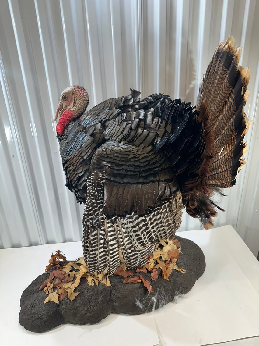 Image for ANTIQUES - BEER STEINS, TAXIDERMY- 750+ LOTS