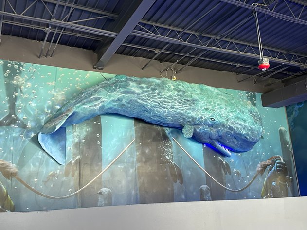 Image for **SHORT NOTICE** IMMERSIVE EXPERIENCE LIQUIDATION - ABSOLUTE