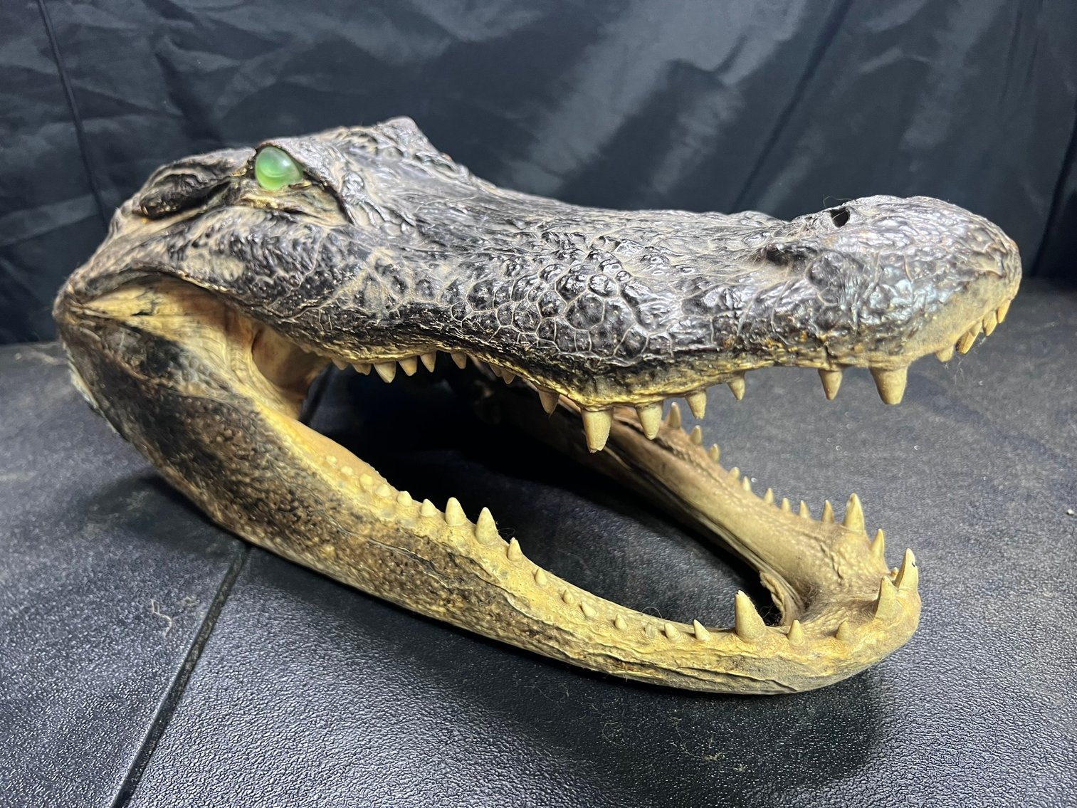 Image for ESTATE - NAPLES, FL - ANTIQUES, FIREARMS, TOOLS & MORE