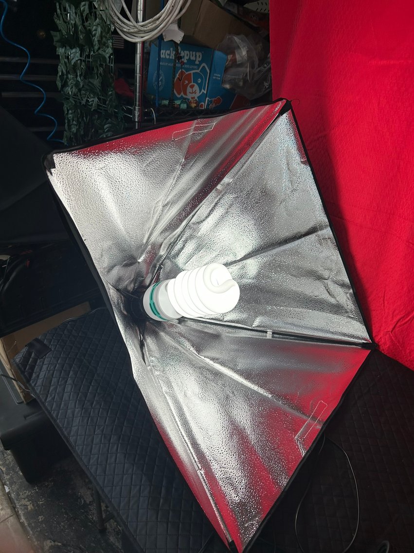 Image for ESTATE - TOOLS, COLLECTIBLES, ANTIQUES & MORE